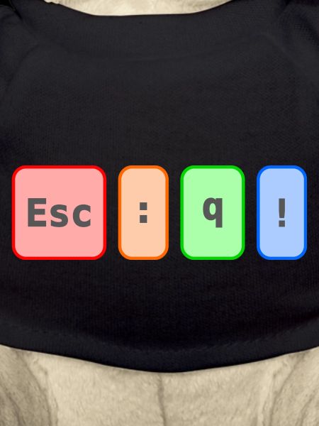 Vim escape code (colour)