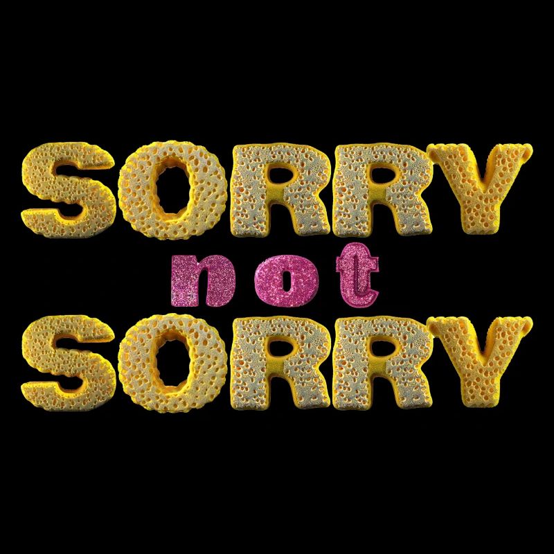 Sorry not Sorry