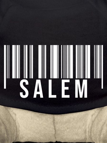 Schwabe Strichcode Salem