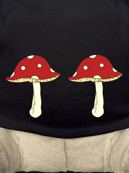 Fly agaric double