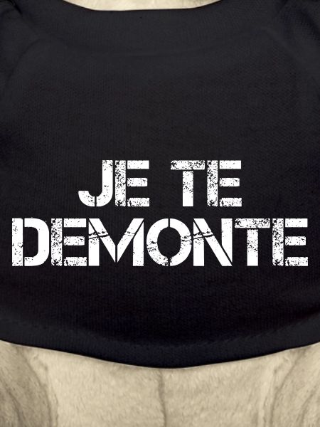 Je te demonte