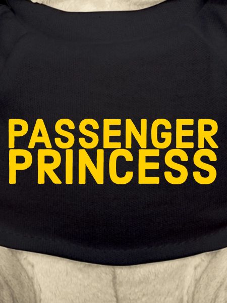 Passenger princess