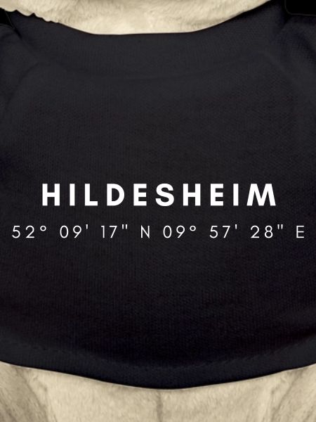 Coordonnées Hildesheim