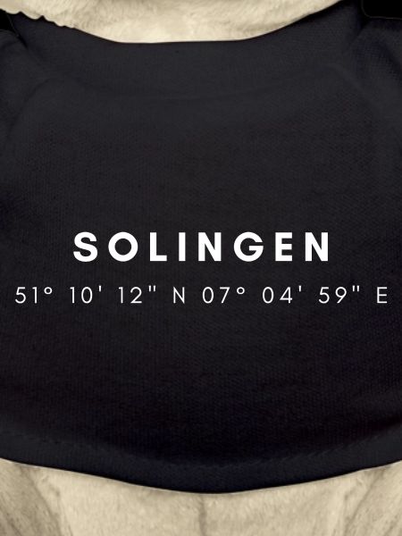 Coordonnées Solingen