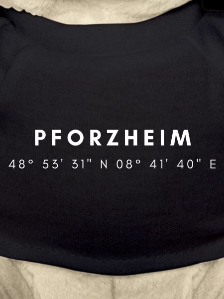 Coordonnées Pforzheim