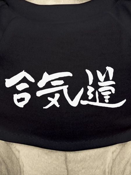 Aikido