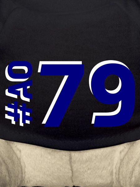 AO79