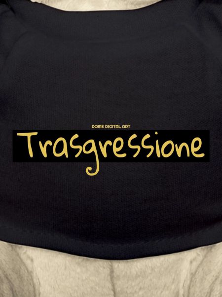 I Am Transgression Collection