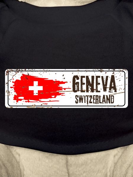 Geneva Switzerland Flag