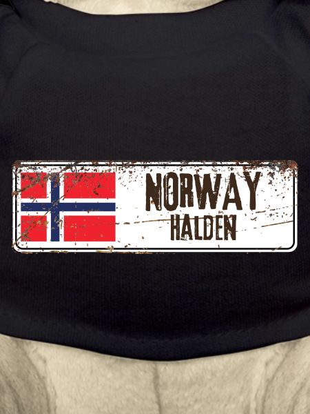 Halden Norway Flag