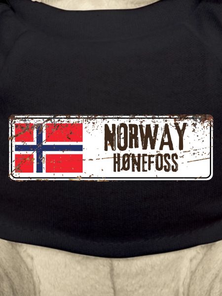 Hønefoss Norway Flag