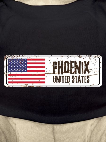 Phoenix United States Flag
