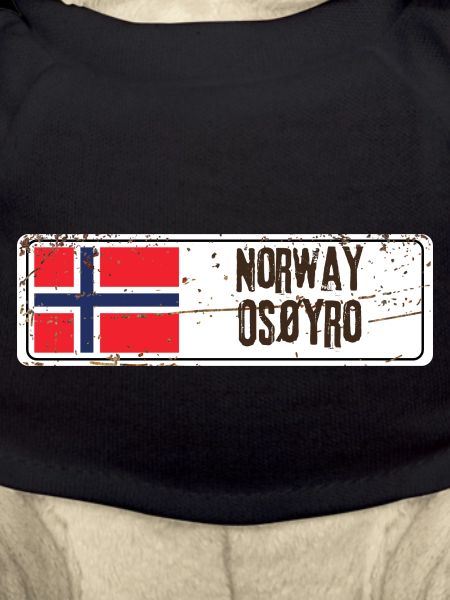 Osoyro Norway Flag