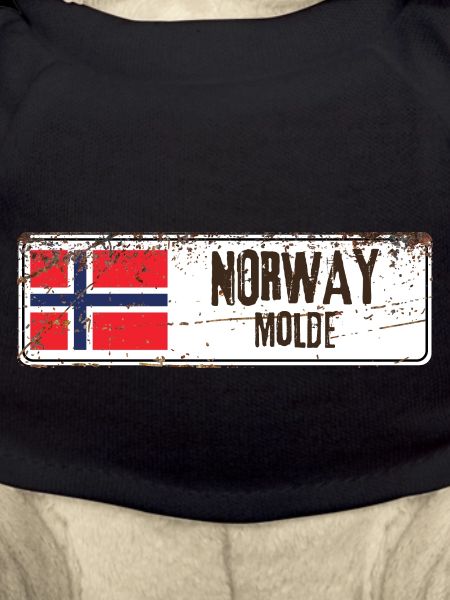 Molde Norway Flag