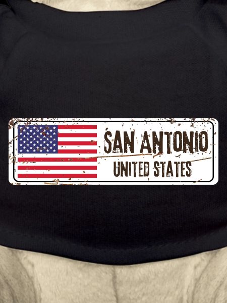 San Antonio Flag