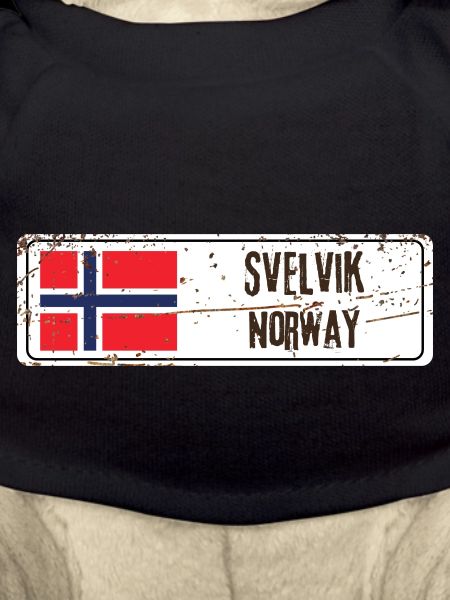 Svelvik Norway