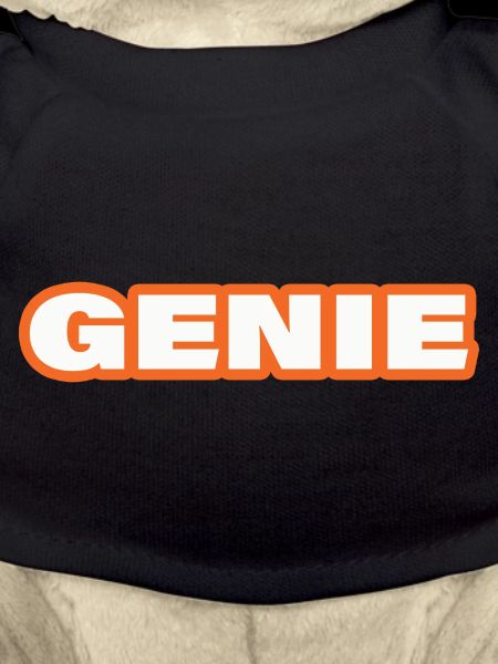 GENIUS
