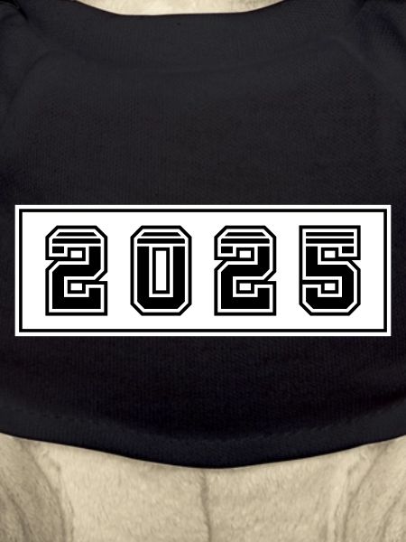 2025 Jahr
