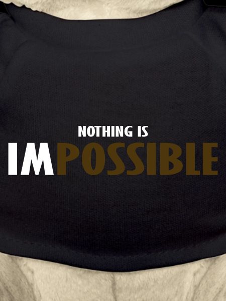 NO THING IS IMPOSSIBLE 