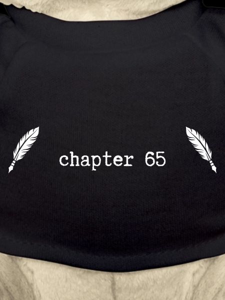 chapter 65 Birthday