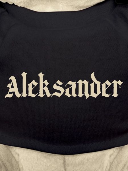 Aleksander Gothic Font