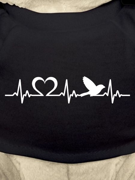 Birds Heartbeat Bird Love