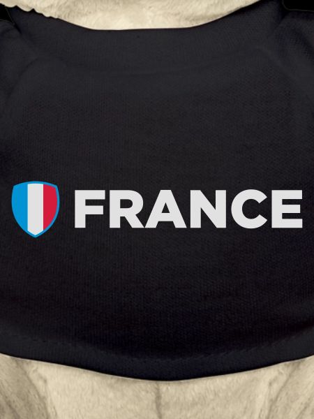 National Flag Of France