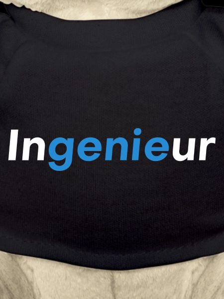 InGenieUr Dipl Ing