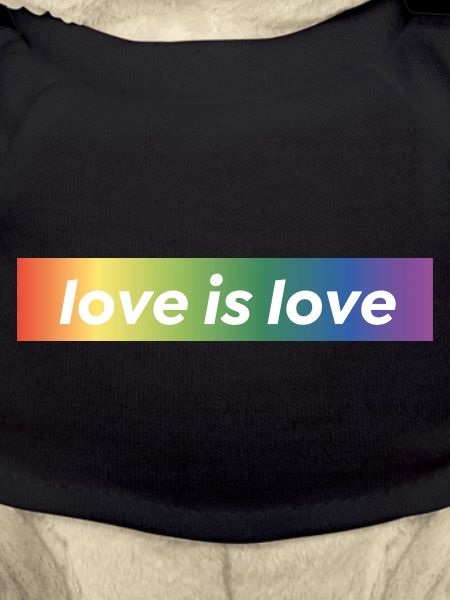LOVE IS LOVE