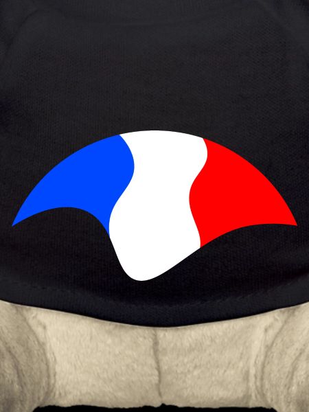 French Flag