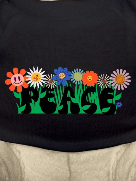 FRIEDE