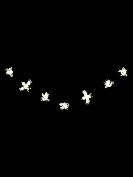Birdies
