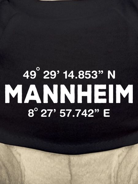 Mannheim Monnem