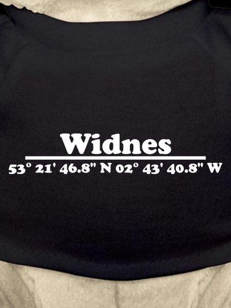 Coordonnées de Widnes