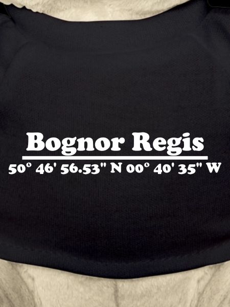 Coordonnées Bognor Regis