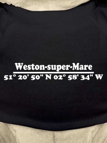 Coordonnées Weston-super-Mare