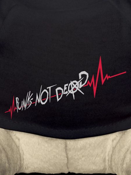 punks not dead quote