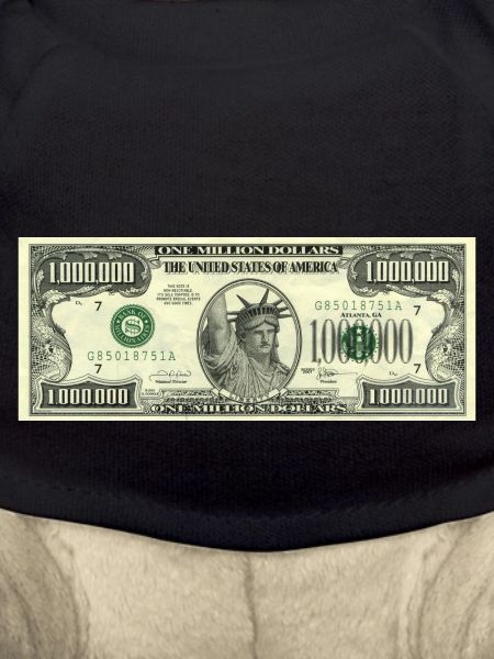 $1 million