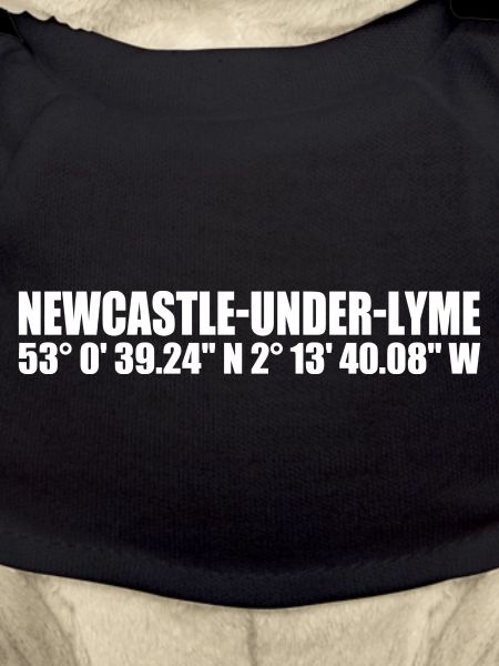 Coordonnées de Newcastle-under-Lyme