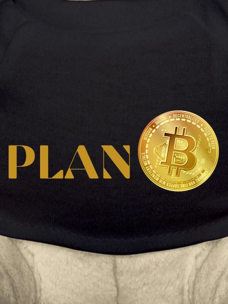 PLAN B