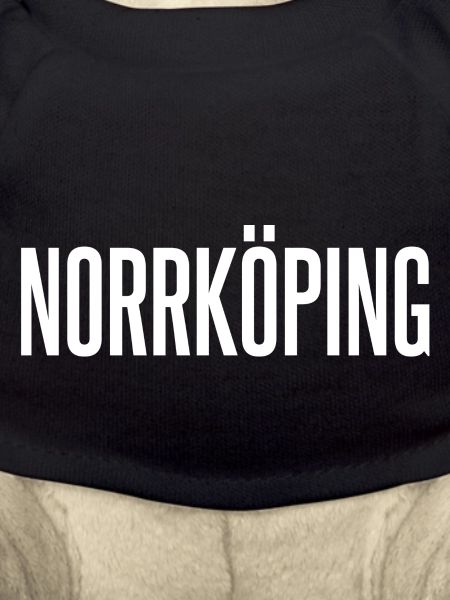 Norrköping