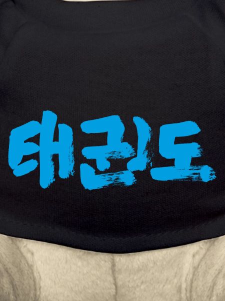 Taekwondo