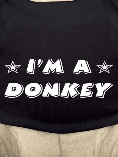 Donkey