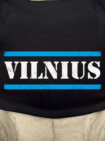 Vilnius
