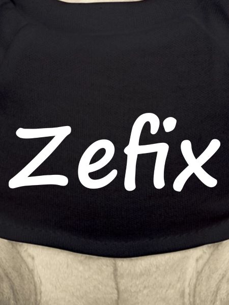 Zefix