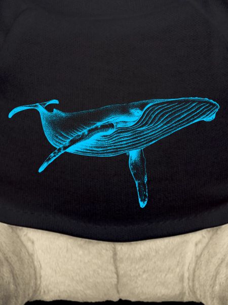 Blue Whale (Neon)