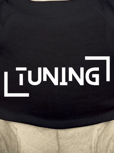 Tuning Style