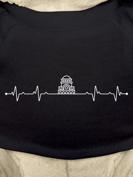 Heartbeat antim monastery