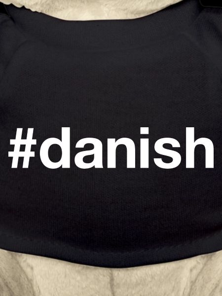 DANISH Danish Denmark