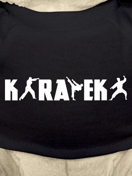 Funny Karateka